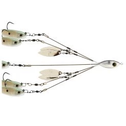 Picasso Umbrella Rigs Baits