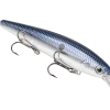 Strike King Jerkbaits Baits -Cheap Baits Shop hckvdj300d 401.5c83055364414