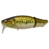 Megabass Prop Baits Baits 2 Megabass Prop Baits Baits -Cheap Baits Shop i loud gg bass.62c5b97d776f3