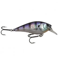 Lucky Craft Shallow Crankbaits Baits
