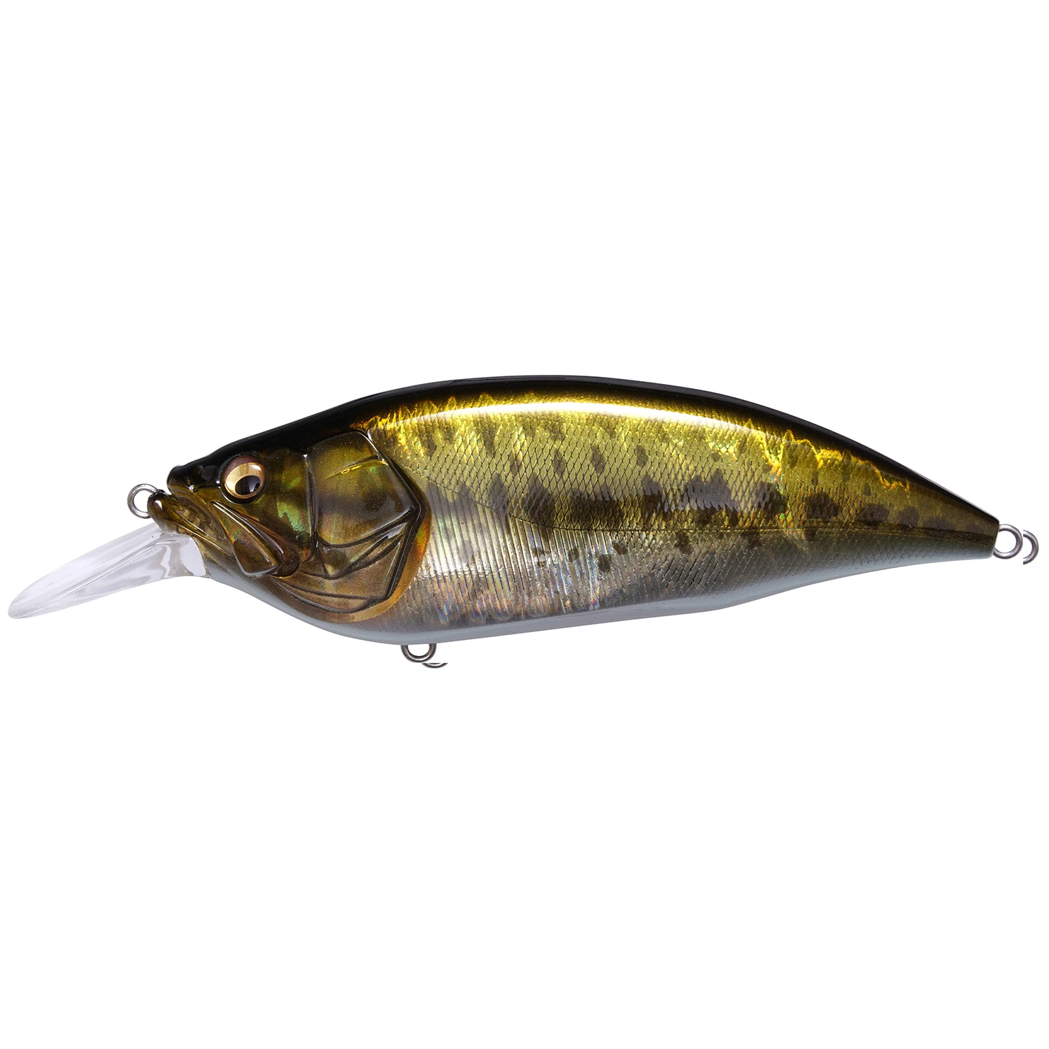 Megabass Mid-Depth Crankbaits Baits 3 Megabass Mid-Depth Crankbaits Baits