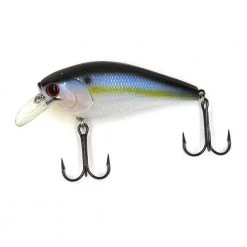 Lucky Craft Shallow Crankbaits Baits