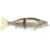 River2Sea Wake Baits Baits 1 River2Sea Wake Baits Baits -Cheap Baits Shop r2stw 01 rainbow trout 1.62e2c3352f0ae