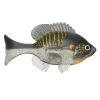 Sudden Impact Baits Soft Body Swimbaits Baits 2 Sudden Impact Baits Soft Body Swimbaits Baits -Cheap Baits Shop sudden impact suzygill bluegill widow maker bg5 14 1.612d1d0a1d7a5