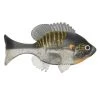 Sudden Impact Baits Soft Body Swimbaits Baits 2 Sudden Impact Baits Soft Body Swimbaits Baits -Cheap Baits Shop sudden impact suzygill jr gill widow maker bg4 18 1.6202cf5b05d27