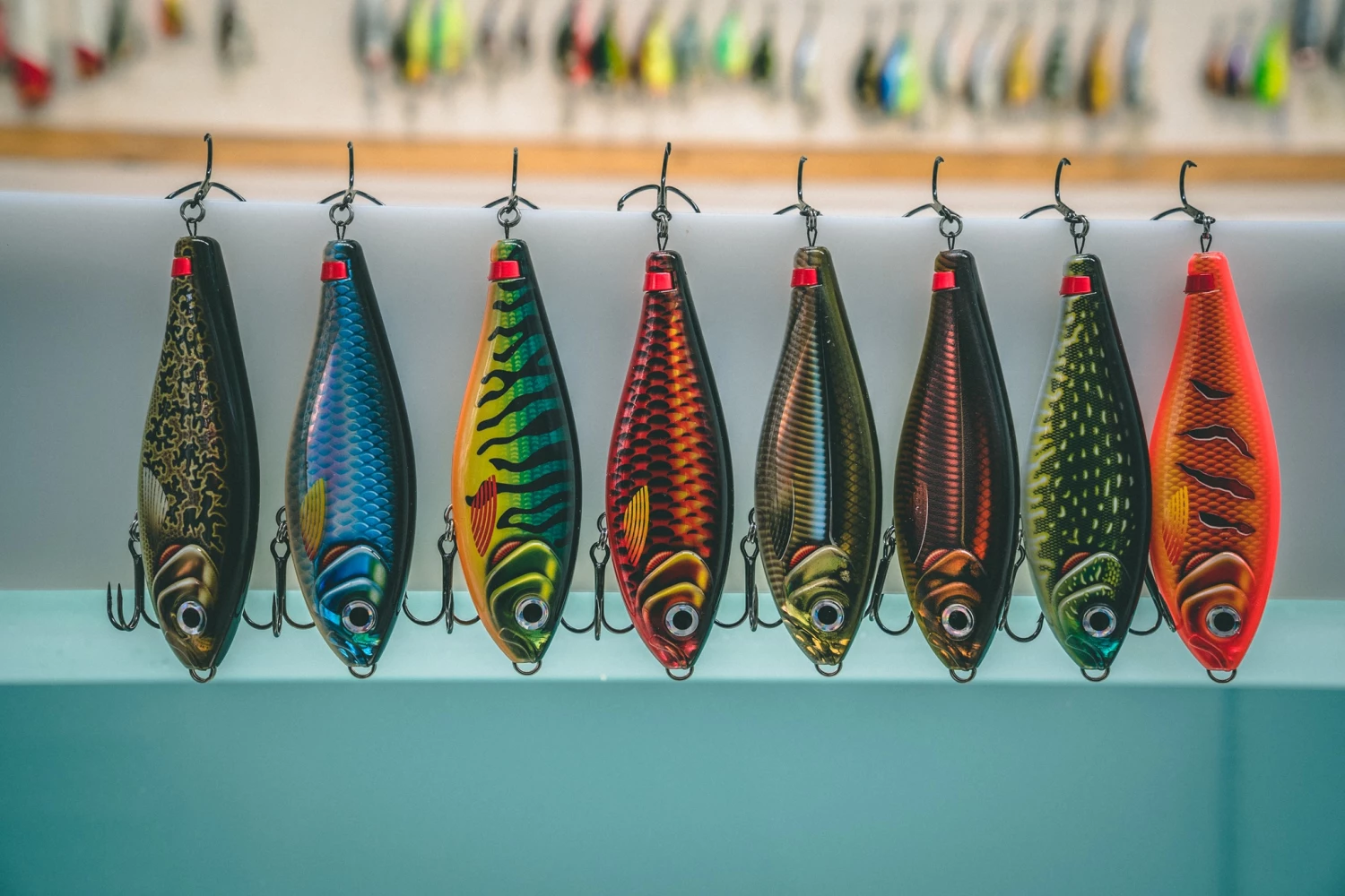 Cheap Baits Shop 9 Cheap Baits Shop -Cheap Baits Shop 83031236 2734017143344444 5151998960168075264 n